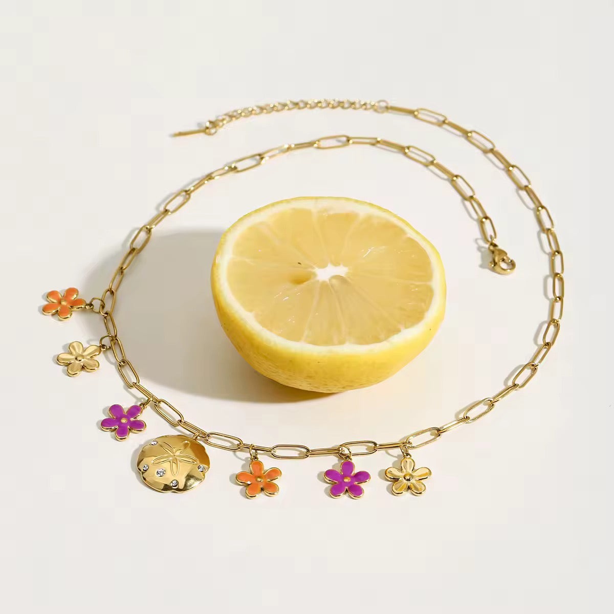 Collar Zinnia